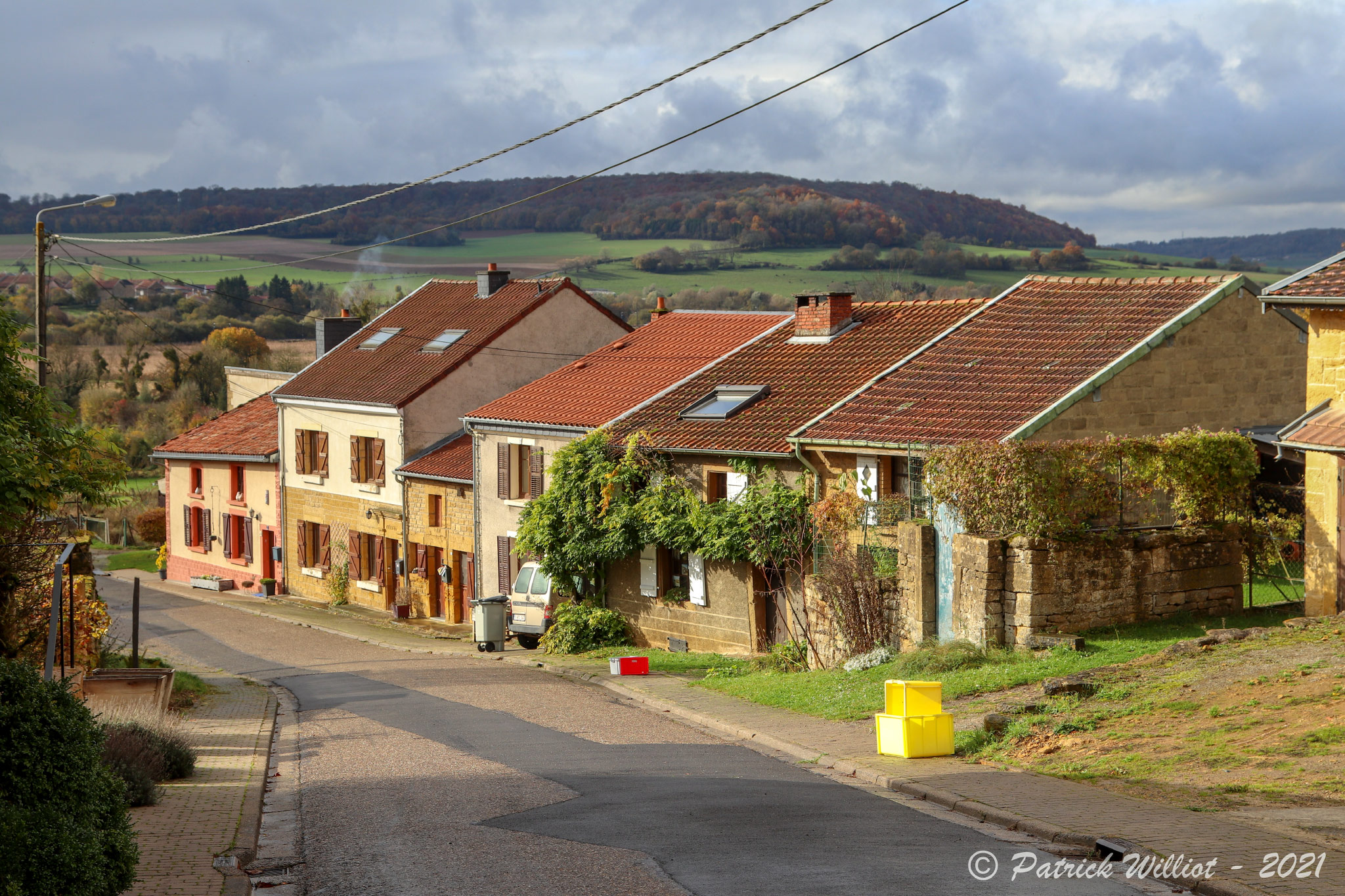 Torgny